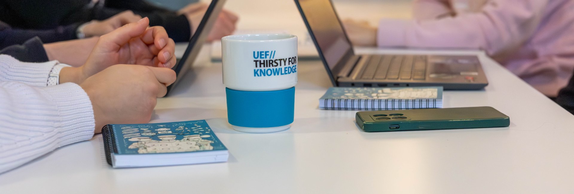 Edunvalvonta voi kannattaa